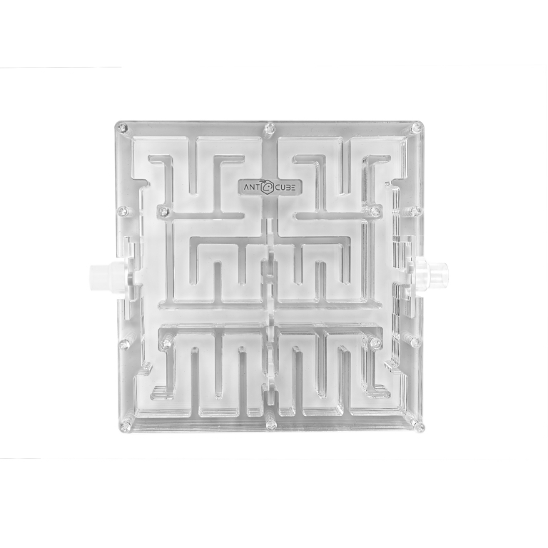 Ant Maze 20x20 - L